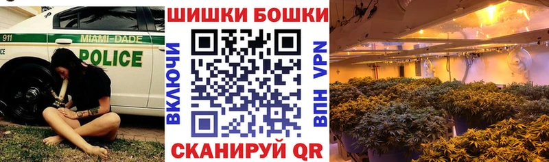 Галлюциногенные грибы Кологрив