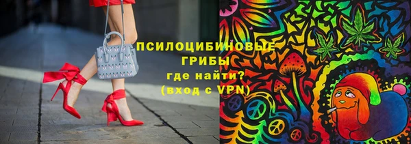 эйфоретик Кукмор