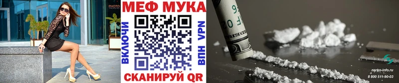 МЕФ мяу мяу Кологрив
