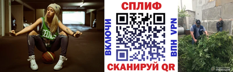 Канабис OG Kush  Купить где  Кологрив 